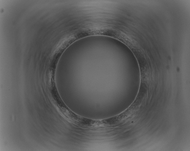 X0000071780742200606301220