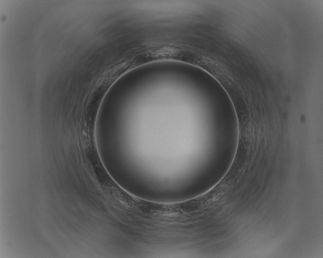 X0000071780743200606301220