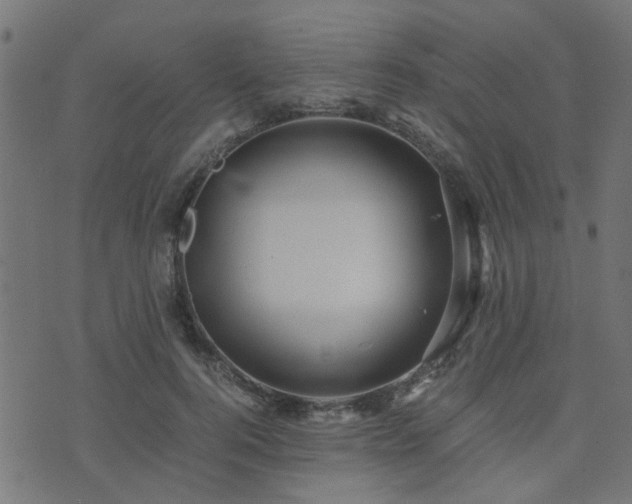 X0000071780744200606301220