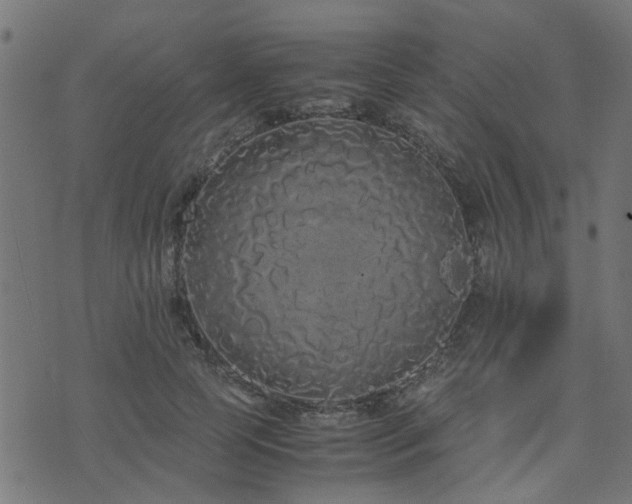 X0000071780745200606301220