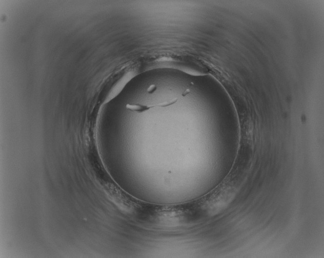 X0000071780746200606301220