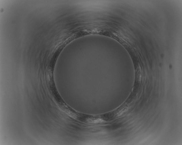 X0000071780747200606301220