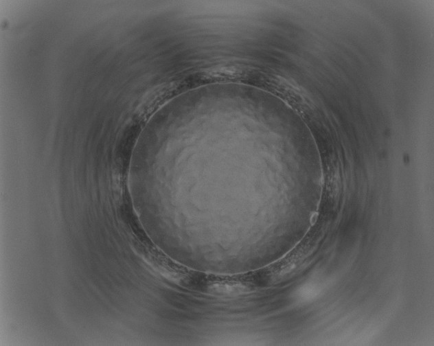 X0000071780749200606301220