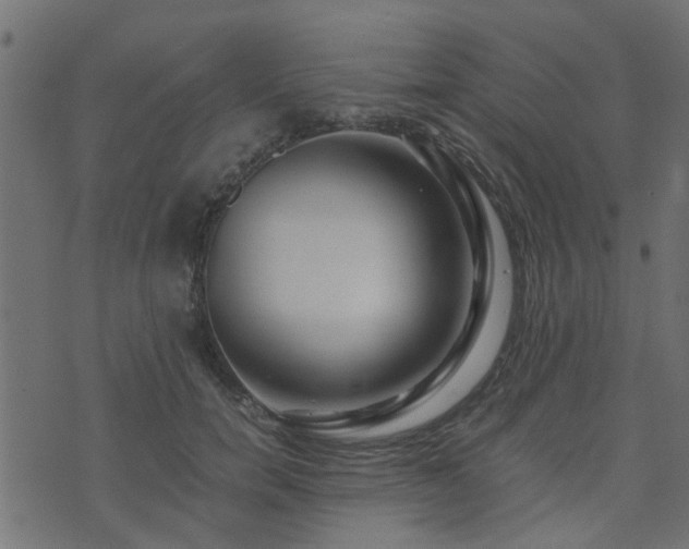 X0000071780750200606301220