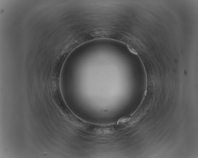 X0000071780751200606301220