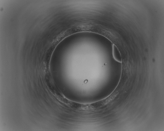 X0000071780752200606301220