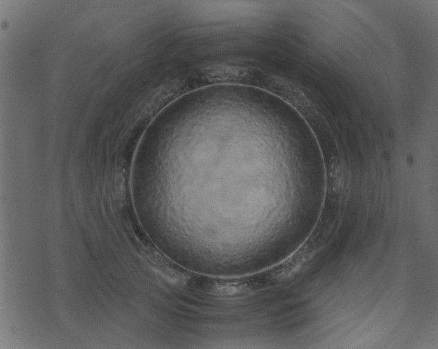 X0000071780753200606301220