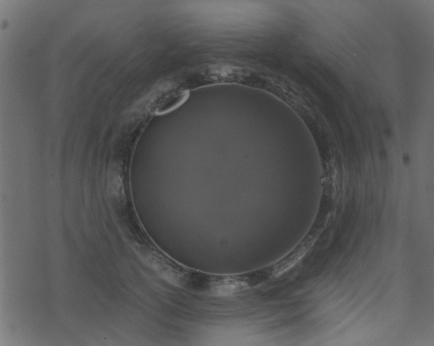 X0000071780754200606301220