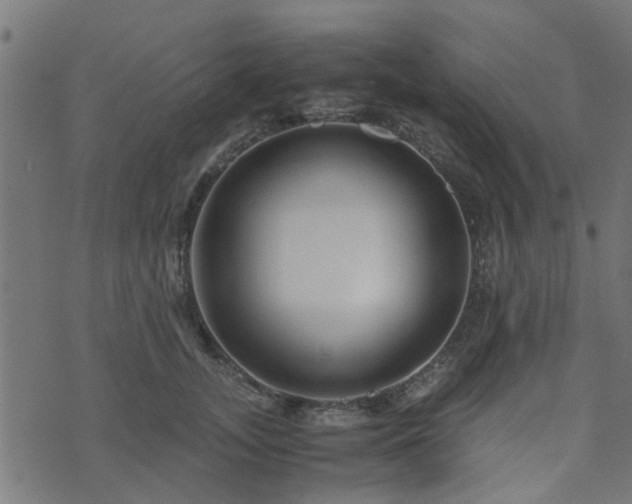 X0000071780755200606301220