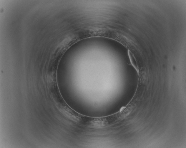 X0000071780756200606301220