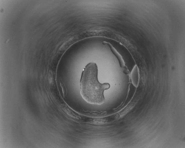 X0000071780758200606301220