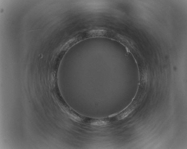 X0000071780759200606301220