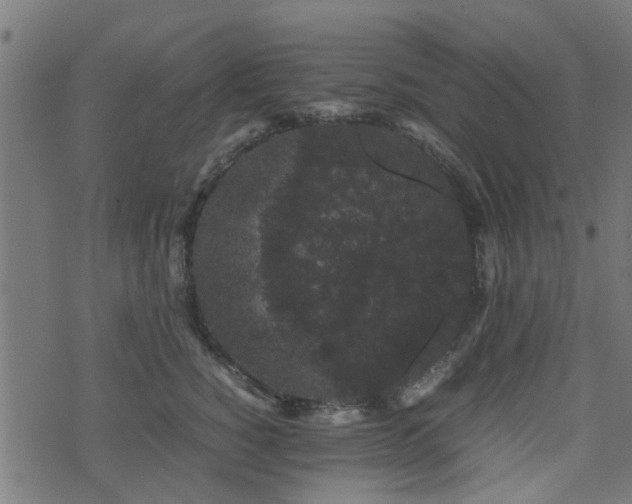 X0000071780760200606301220