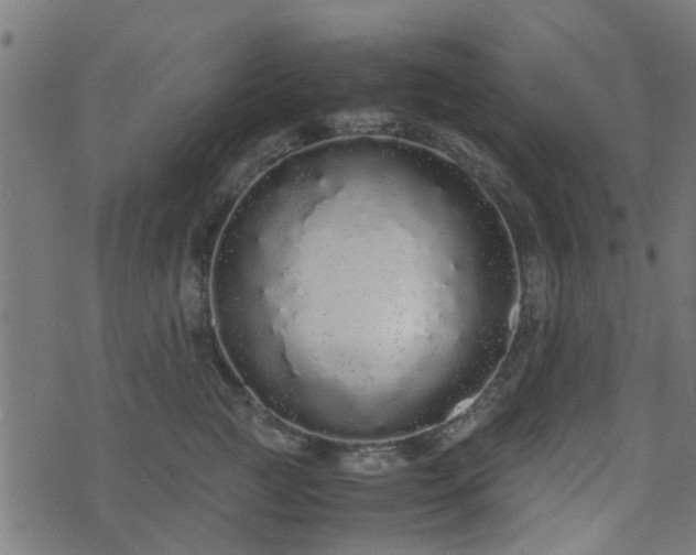 X0000071780761200606301220