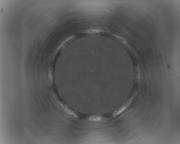 X0000071780762200606301220