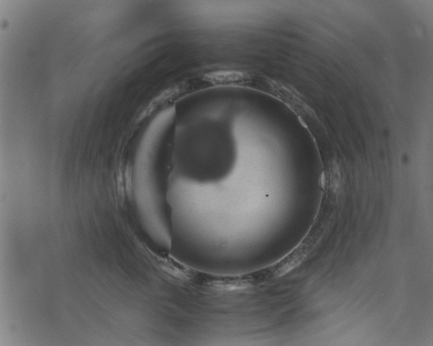 X0000071780763200606301220