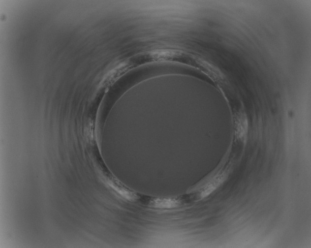 X0000071780766200606301220