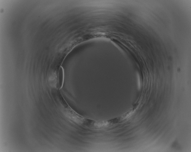 X0000071780767200606301220