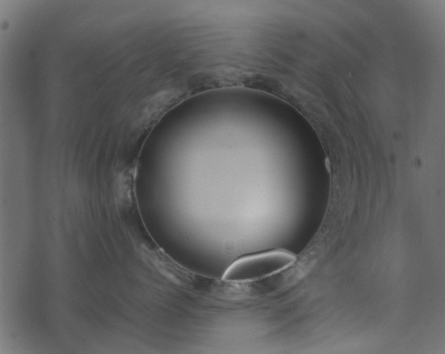 X0000071780768200606301220