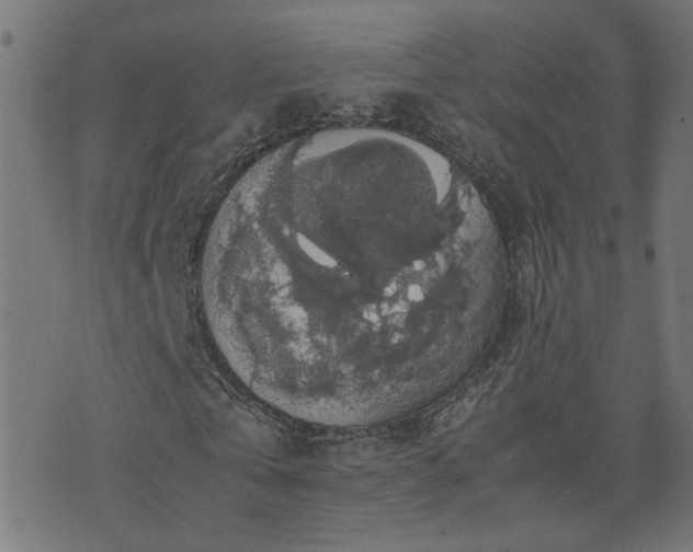 X0000071780769200606301219