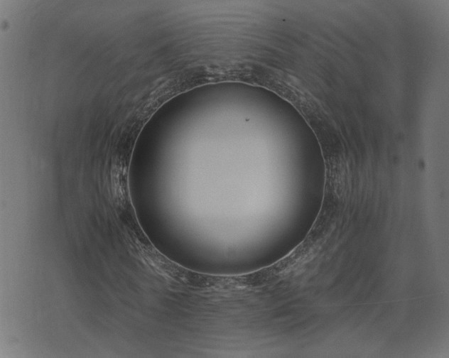 X0000071780770200606301219