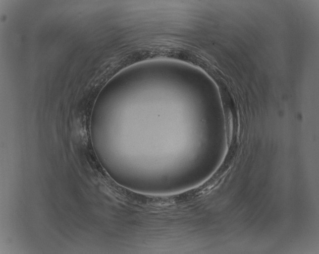 X0000071780771200606301219