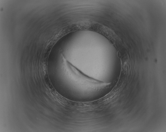 X0000071780772200606301219