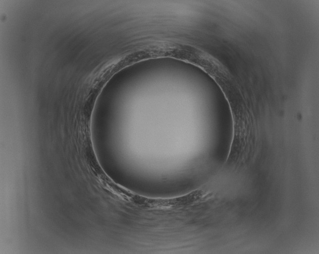 X0000071780773200606301219