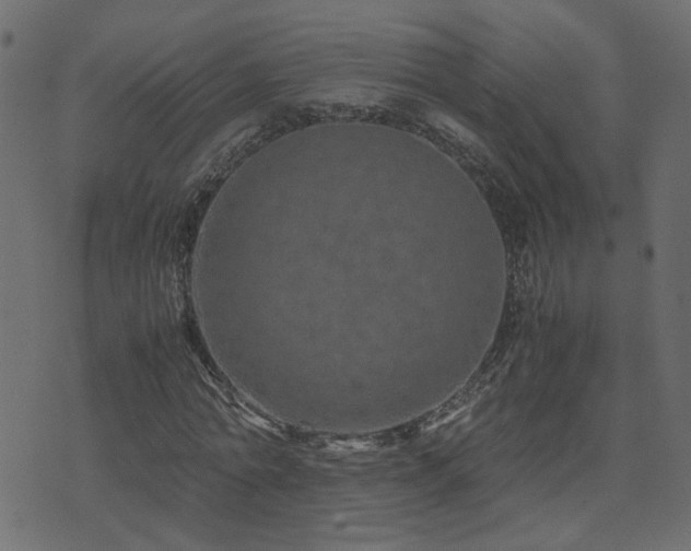 X0000071780774200606301219