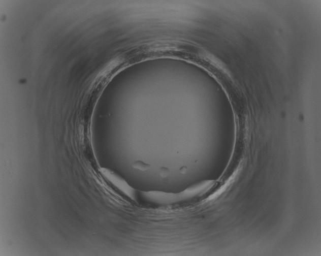 X0000071780777200606301219