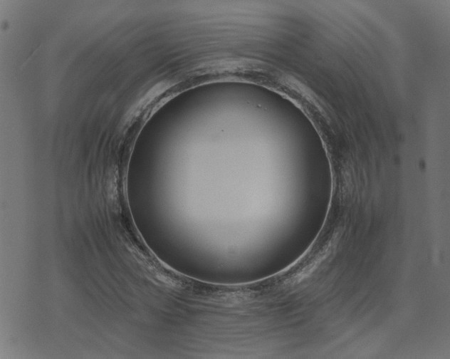 X0000071780778200606301219