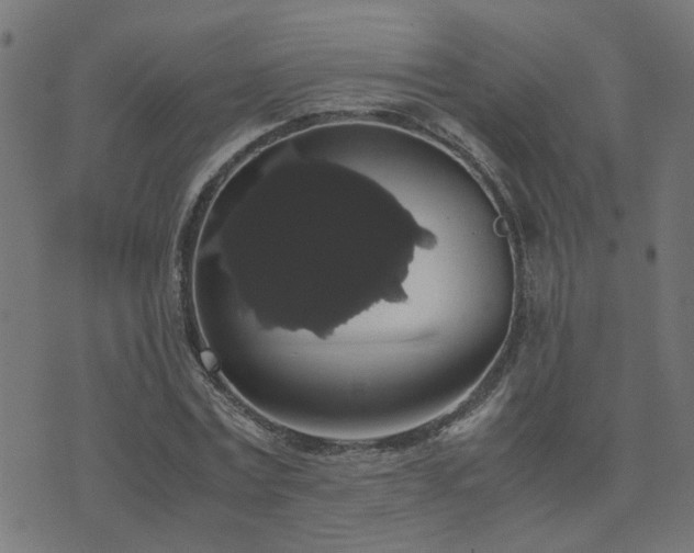 X0000071780779200606301219