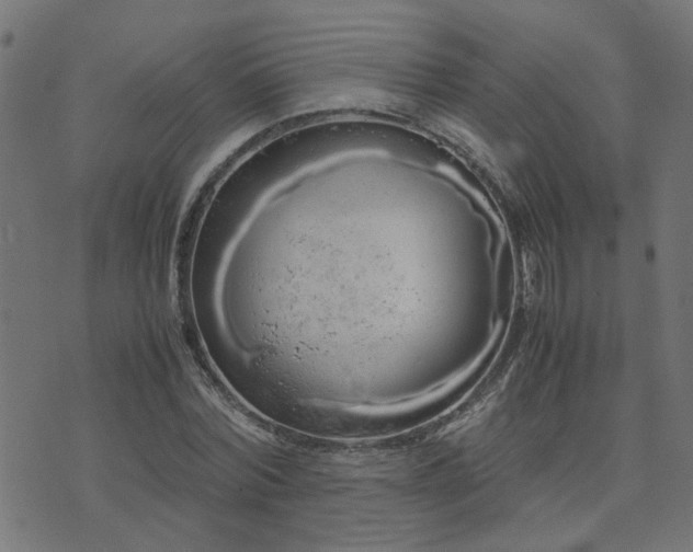 X0000071780780200606301219