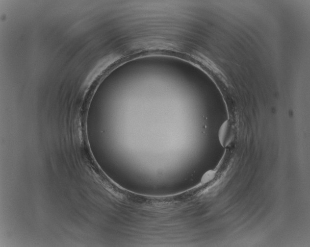 X0000071780782200606301219