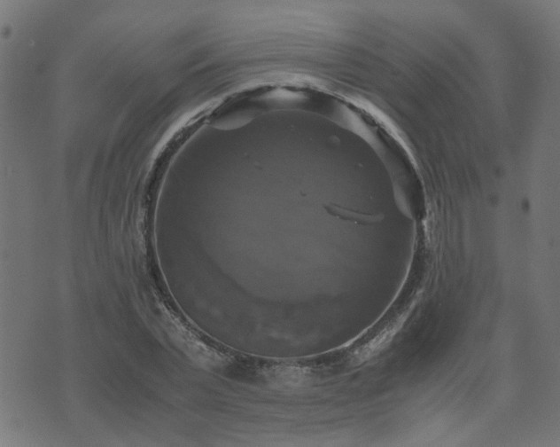 X0000071780783200606301219