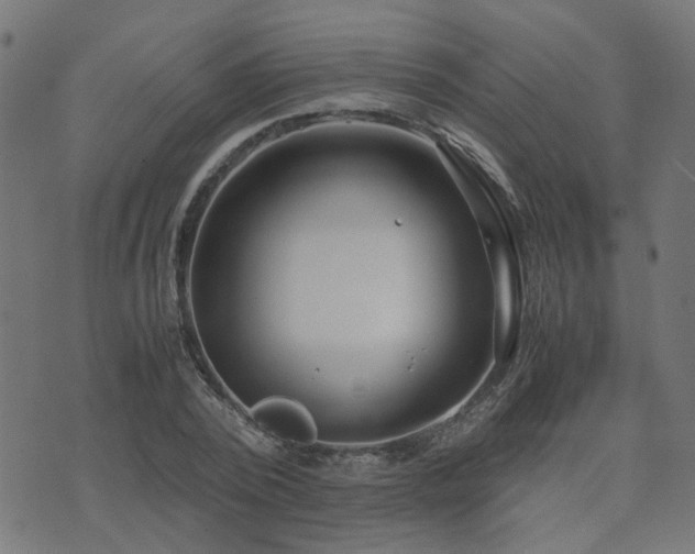 X0000071780784200606301219