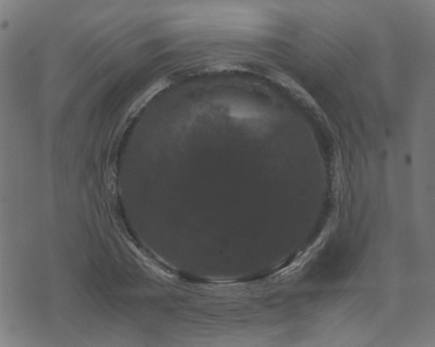 X0000071780785200606301219