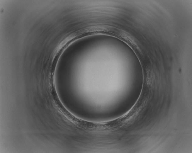 X0000071780786200606301219