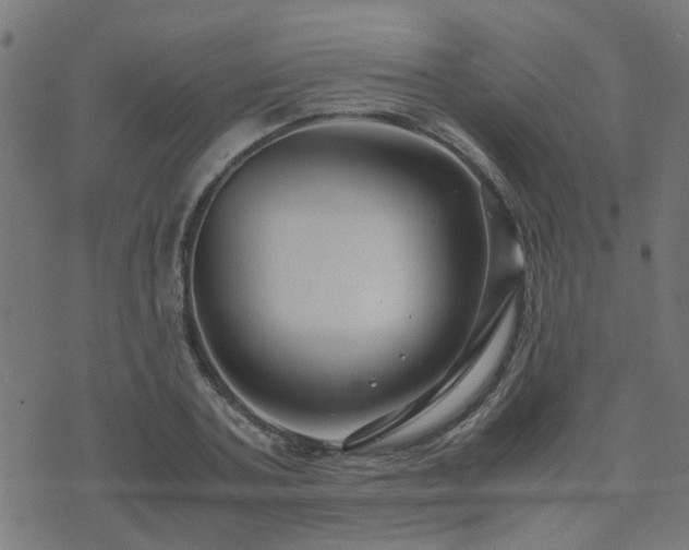 X0000071780787200606301219