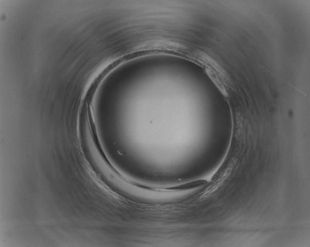 X0000071780788200606301219