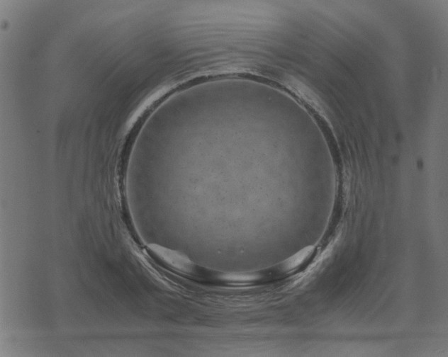 X0000071780789200606301219