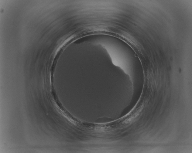 X0000071780790200606301219