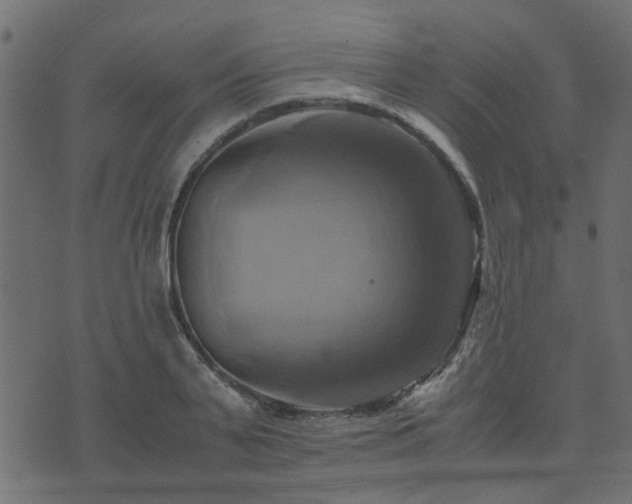 X0000071780791200606301219