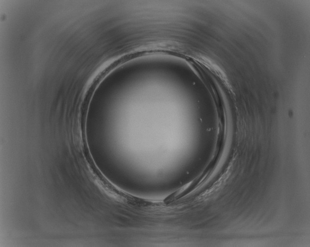 X0000071780792200606301219