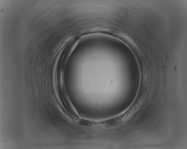 X0000071780793200606301219