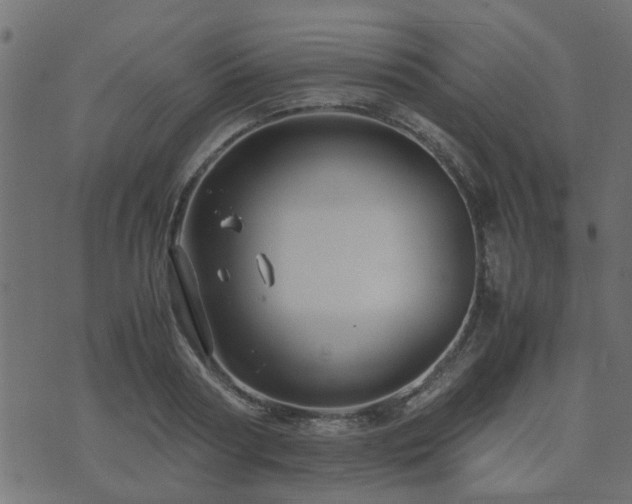 X0000071780794200606301219