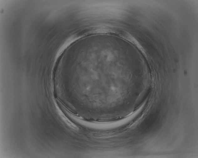 X0000071780795200606301219