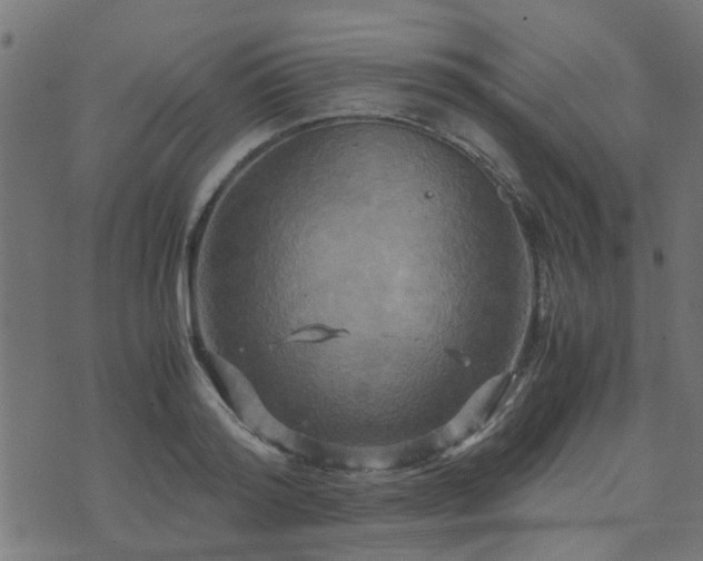 X0000071780796200606301219