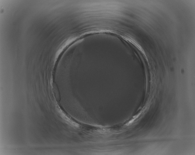 X0000071780797200606301219