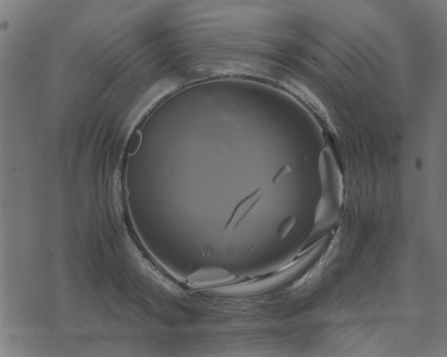 X0000071780798200606301219